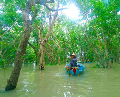 Kampong Phluk Mangrove