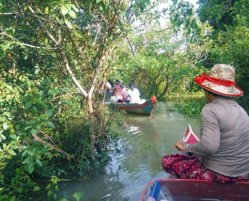 Kampong Phluk Mangrove