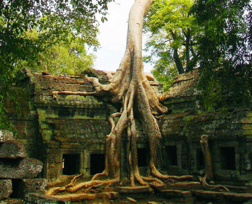 Ta Prohm temple