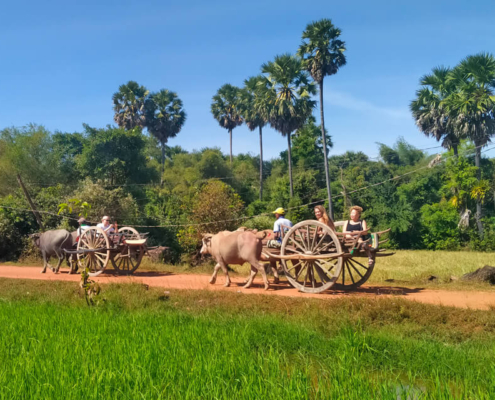 Ox Cart Ride