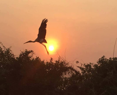 Boeng Peariang Bird Sanctuary