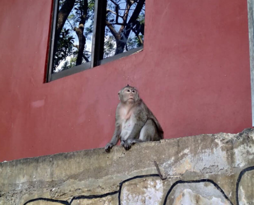 Wat Lue Sihanoukville